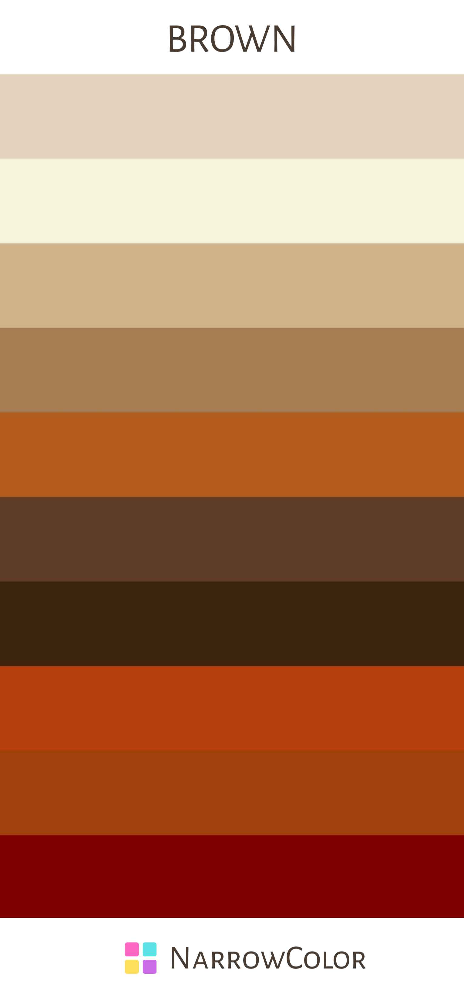 Brown Color Palette: A Guide for Designers